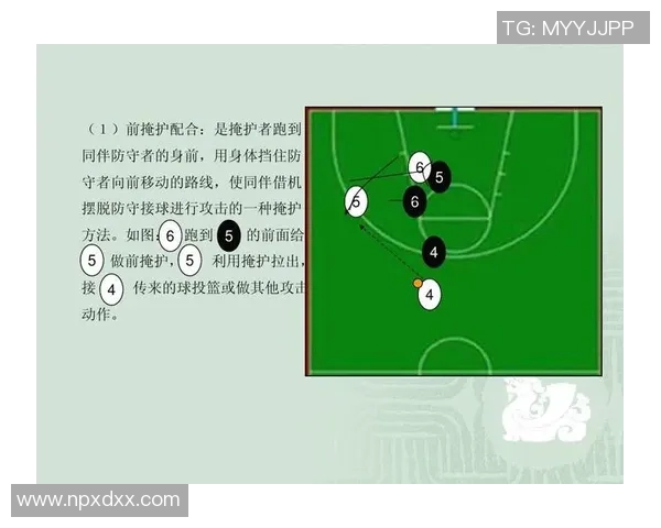 成都篮球队战术揭秘:从战术布局到球员配合的全面分析 成都篮球队战术揭秘:从战术布局到球员配合的全面分析