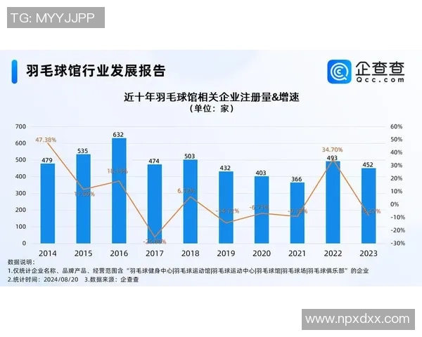 数据分析：武汉羽毛球队的意识表现