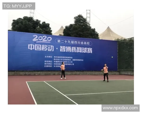 杯赛积分榜：北京网球队以74分领跑