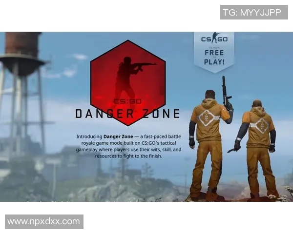 CS_GO焦点：FPX的意识探讨