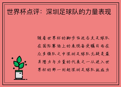 世界杯点评：深圳足球队的力量表现