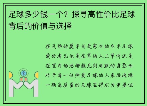 足球多少钱一个？探寻高性价比足球背后的价值与选择