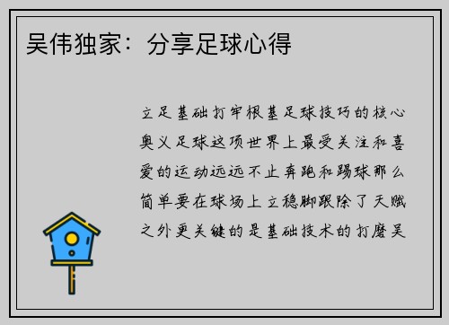 吴伟独家：分享足球心得
