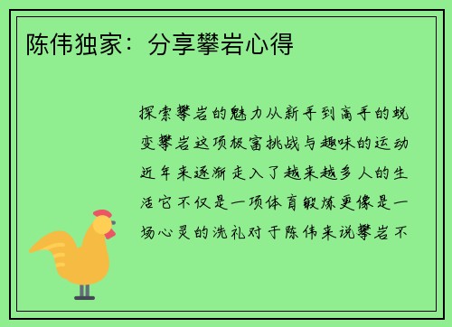 陈伟独家：分享攀岩心得