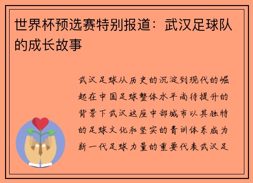 世界杯预选赛特别报道：武汉足球队的成长故事