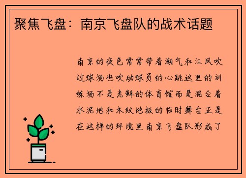 聚焦飞盘：南京飞盘队的战术话题
