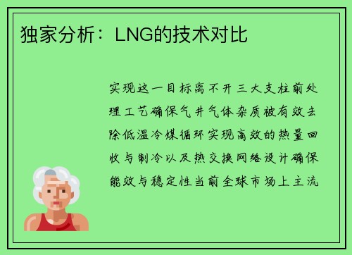 独家分析：LNG的技术对比